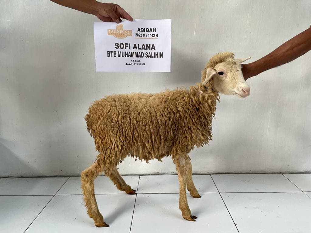 Aqiqah options and rates